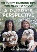 A Puppy'S Perspective