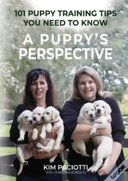 Capa do artigo A Puppy'S Perspective