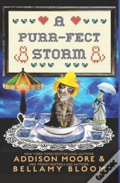 A Purr-Fect Storm