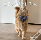 A Purrrfect Time