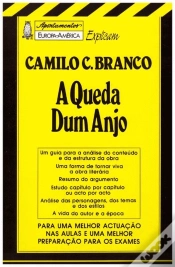 Capa do artigo A Queda de um Anjo Apontamentos Europa - América Explicam Camilo Castelo Branco