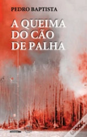 Capa do artigo A Queima do Cão de Palha