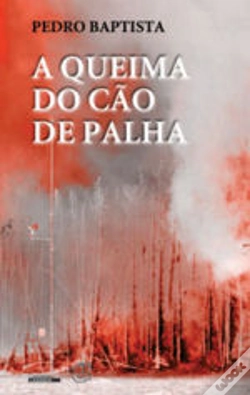 Capa do artigo A Queima do Cão de Palha