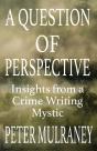 A Question Of Perspective - Preview