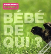 Capa do artigo A Qui Est Ce Bebe?