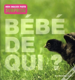 Capa do artigo A Qui Est Ce Bebe?