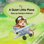 A Quiet Little Plane