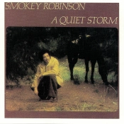 Capa do artigo A Quiet Storm - CD
