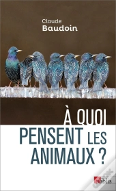 À Quoi Pensent Les Animaux ?
