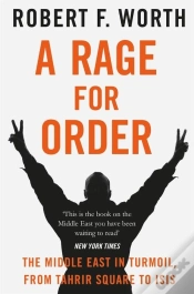 Capa do artigo A Rage For Order
