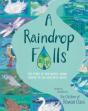 A Raindrop Falls - Preview
