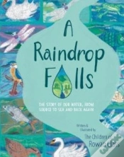 Capa do artigo A Raindrop Falls