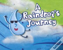 A Raindrop'S Journey