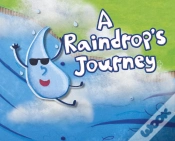 Capa do artigo A Raindrop