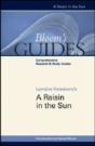 A Raisin In The Sun - Preview