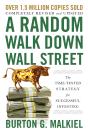 A Random Walk Down Wall Street - Preview
