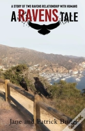 Capa do artigo A Ravens Tale
