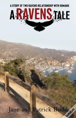 Capa do artigo A Ravens Tale