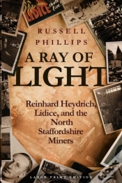 Capa do artigo A Ray Of Light