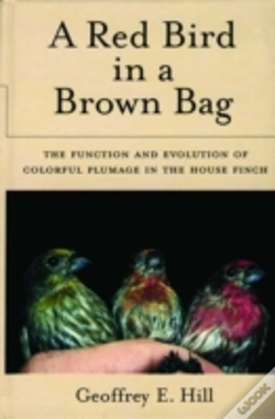 Capa do artigo A Red Bird In A Brown Bag