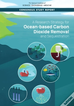 Capa do artigo A Research Strategy For Ocean-Based Carbon Dioxide Removal And Sequestration