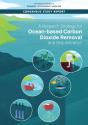A Research Strategy For Ocean-Based Carbon Dioxide Removal And Sequestration - Preview