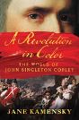 A Revolution In Color - Preview