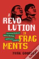 A Revolution In Fragments