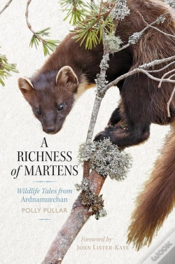 Capa do artigo A Richness Of Martens
