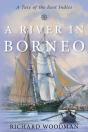 A River In Borneo - Preview