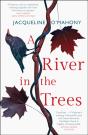 A River In The Trees - Preview