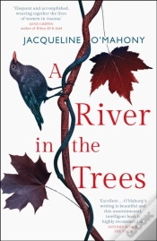 Capa do artigo A River In The Trees