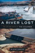 A River Lost