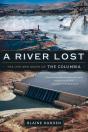 A River Lost - Preview