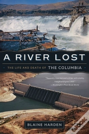 Capa do artigo A River Lost