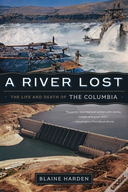 Capa do artigo A River Lost
