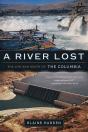 A River Lost - Preview