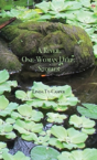 A River, One-Woman Deep - Preview