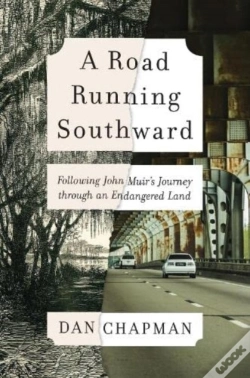 Capa do artigo A Road Running Southward