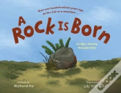Capa do artigo A Rock Is Born