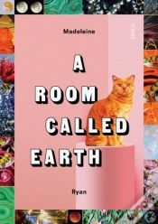 Capa do artigo A Room Called Earth