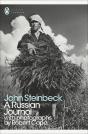 A Russian Journal - Preview