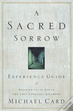 Capa do artigo A Sacred Sorrow Experience Guide