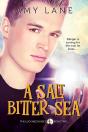 A Salt Bitter Sea - Preview