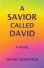 A Savior Called David - Preview