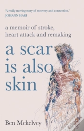 Capa do artigo A Scar Is Also Skin