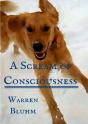 A Scream Of Consciousness - Preview