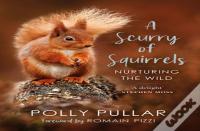 A Scurry Of Squirrels