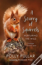 Capa do artigo A Scurry Of Squirrels