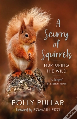 Capa do artigo A Scurry Of Squirrels